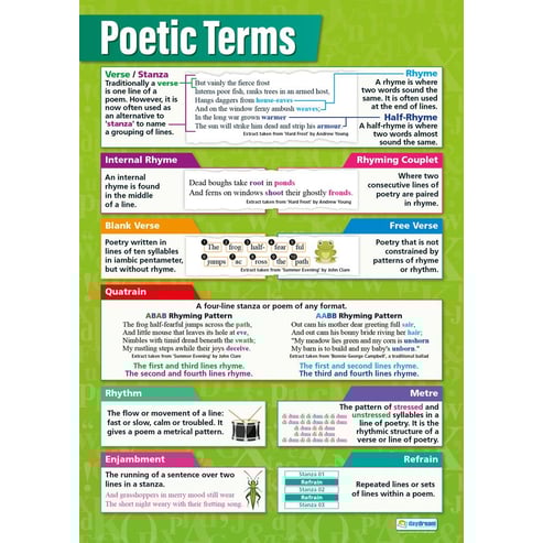 Studying Poetry Posters - Set of 4