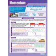 Momentum Poster