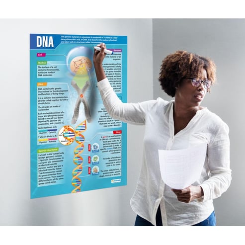 DNA Poster