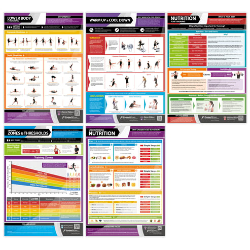 Health and Fitness Posters - Set of 13 