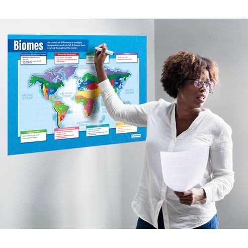 Biomes Poster