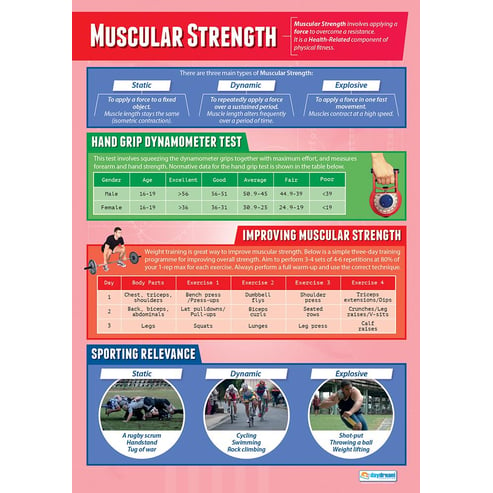 Muscular Strength Poster