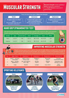 Muscular Strength Poster