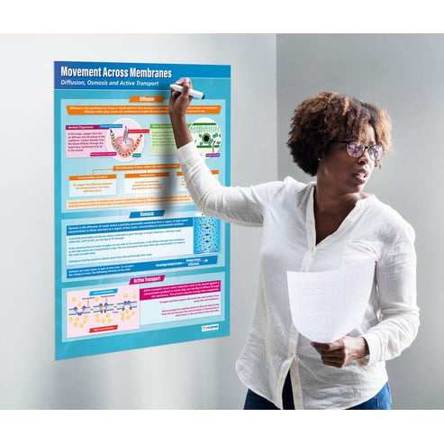 Movement Across Membranes Poster