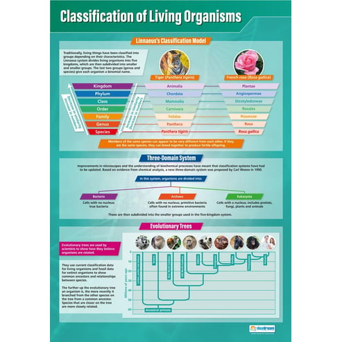Classification of Living Organisms Poster