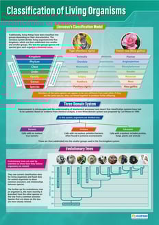 Classification of Living Organisms Poster