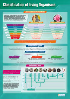 Classification of Living Organisms Poster