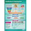 Classification of Living Organisms Poster