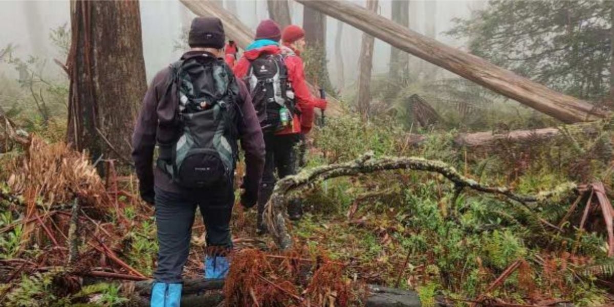 Diamond Creek Trail; Dinner walk | Easy-Medium, 15km