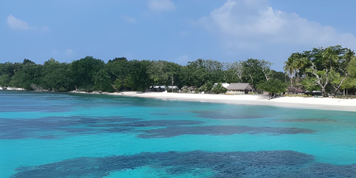Vanuatu Freediving & Spearfishing Adventure