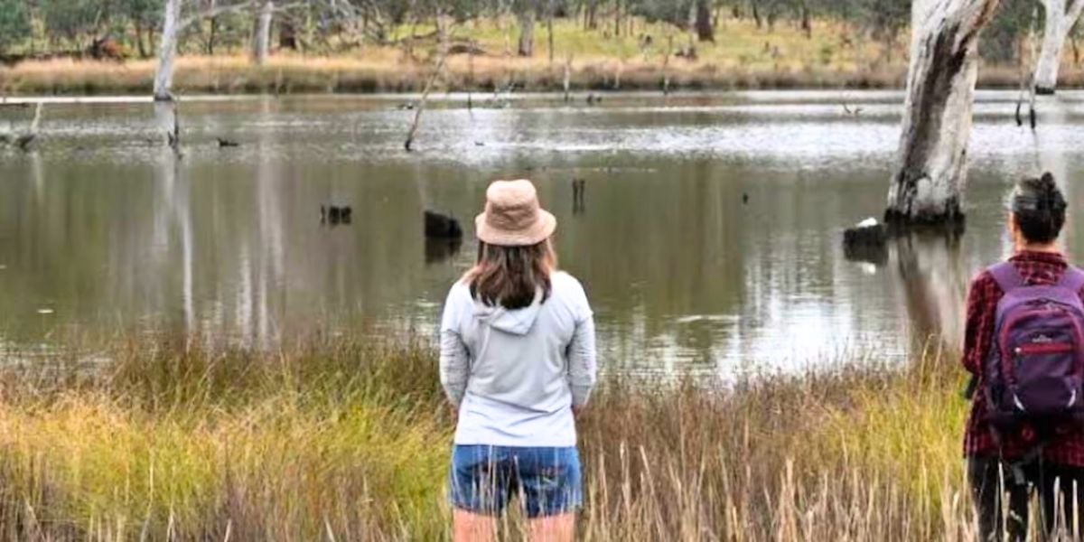Reconnect with nature - 1hr nature therapy taster
