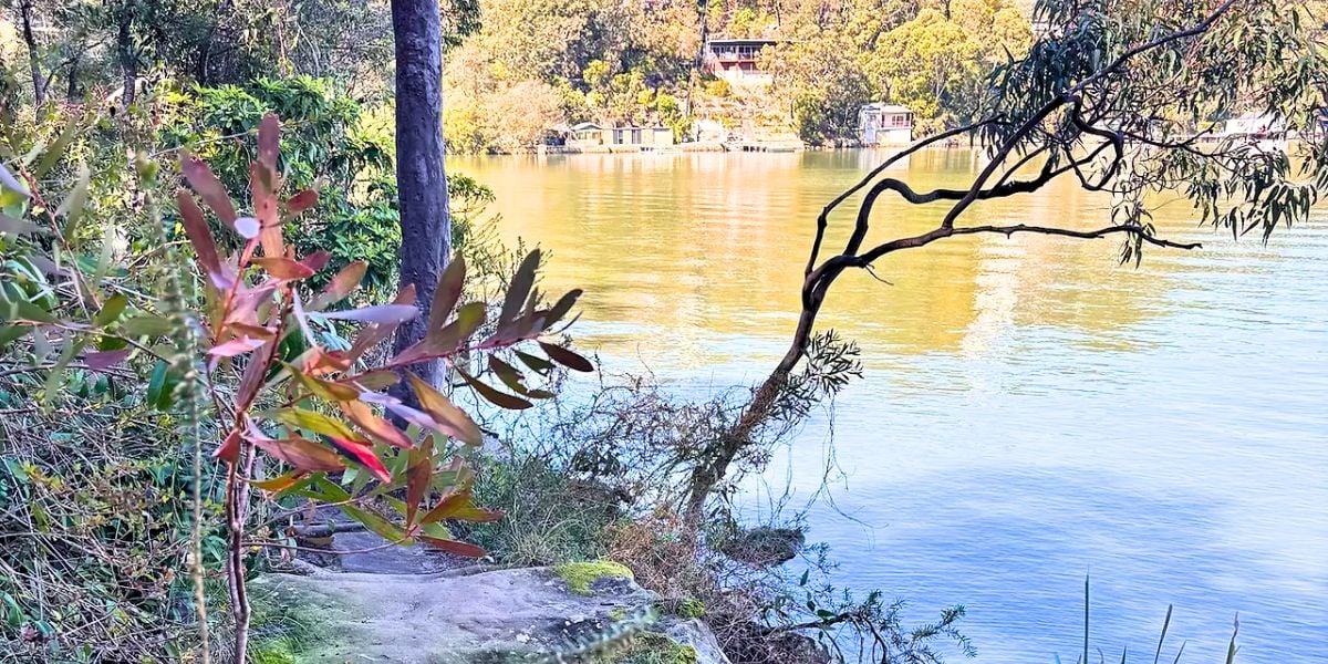 Lime Kiln Bay & Oatley Bushland Loop (8kms)