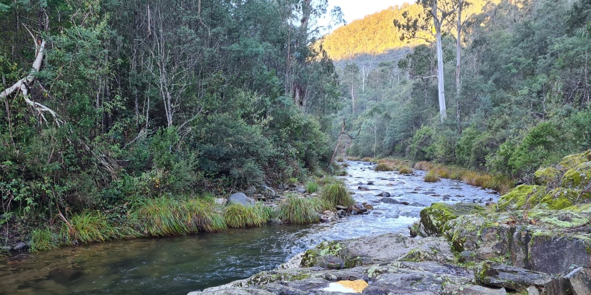 Remote Ritchie’s Hut – 2 Days