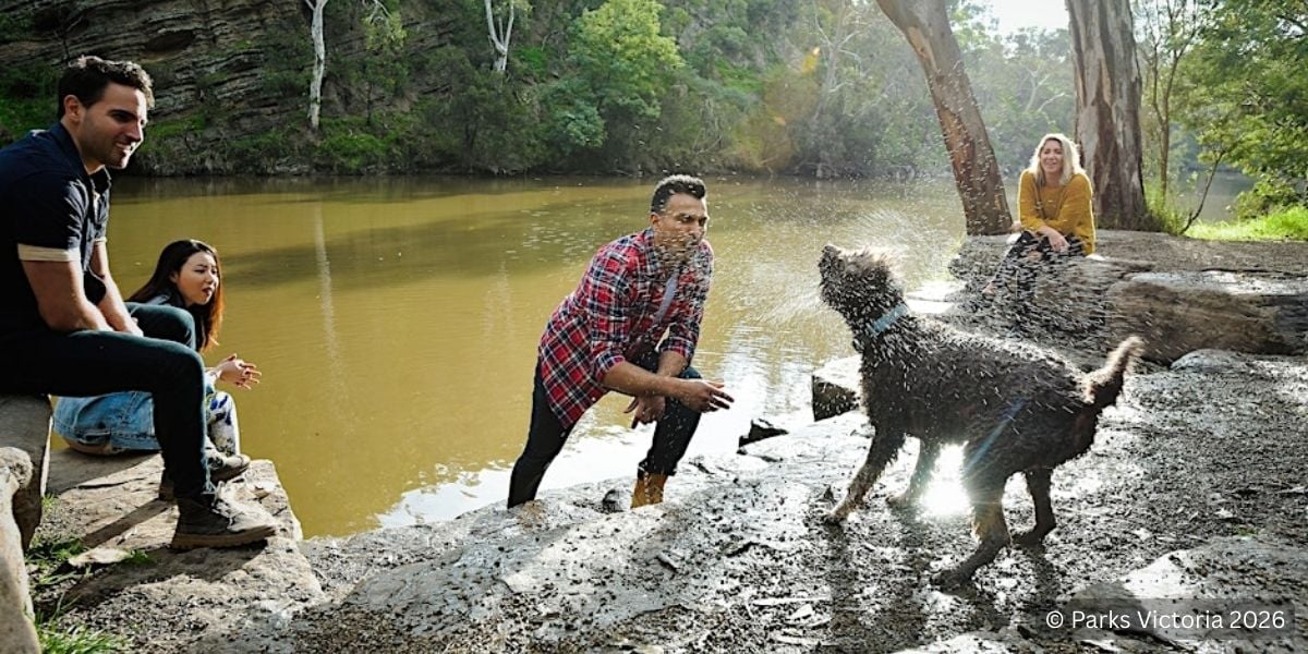 Dog Friendly Park Walk @ Yarra Bend