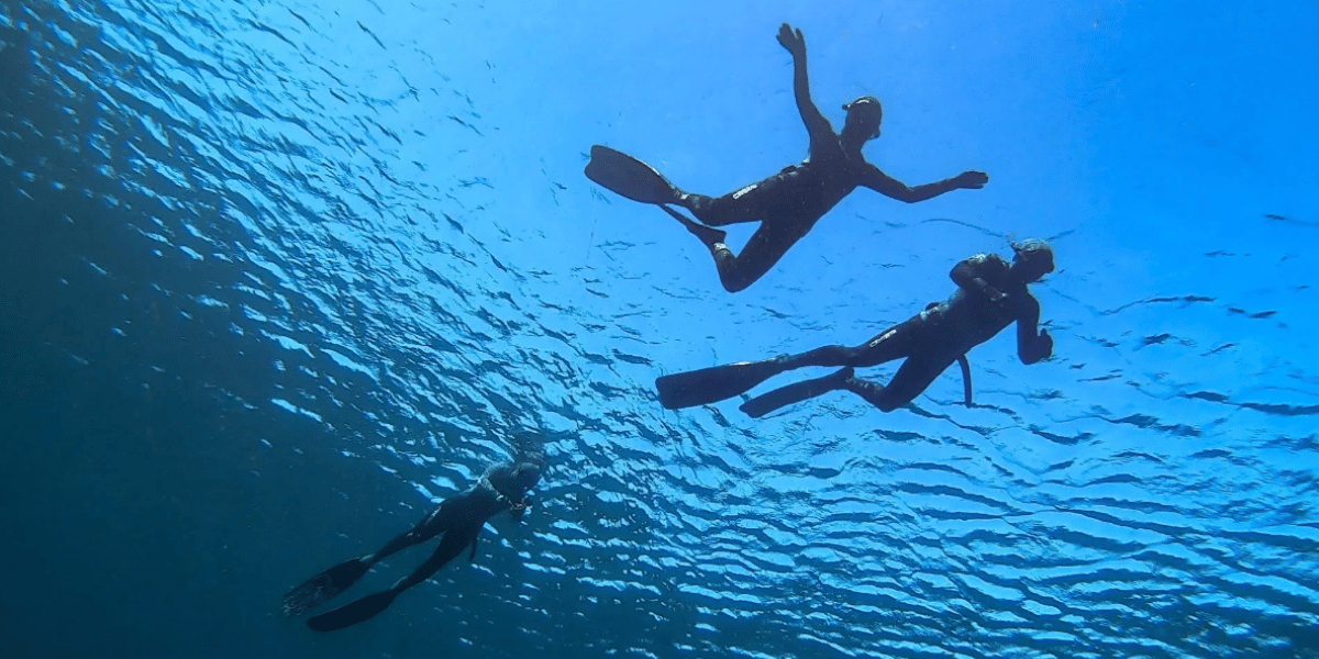 AIDA 1 Freediving Discovery
