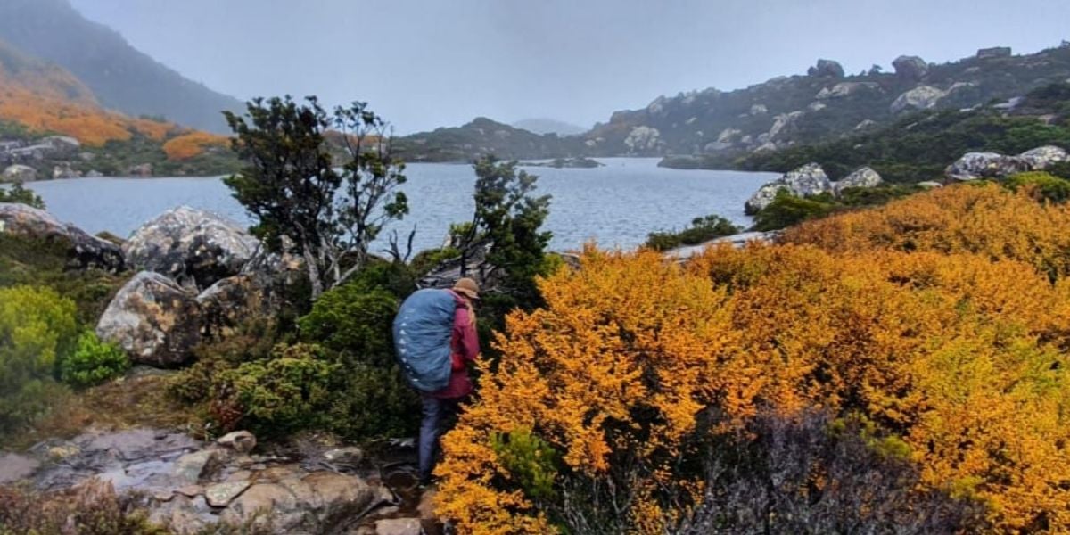 Southwest & Mount Field - Lutruwita / Tasmania - Guided Walk - 4 Days