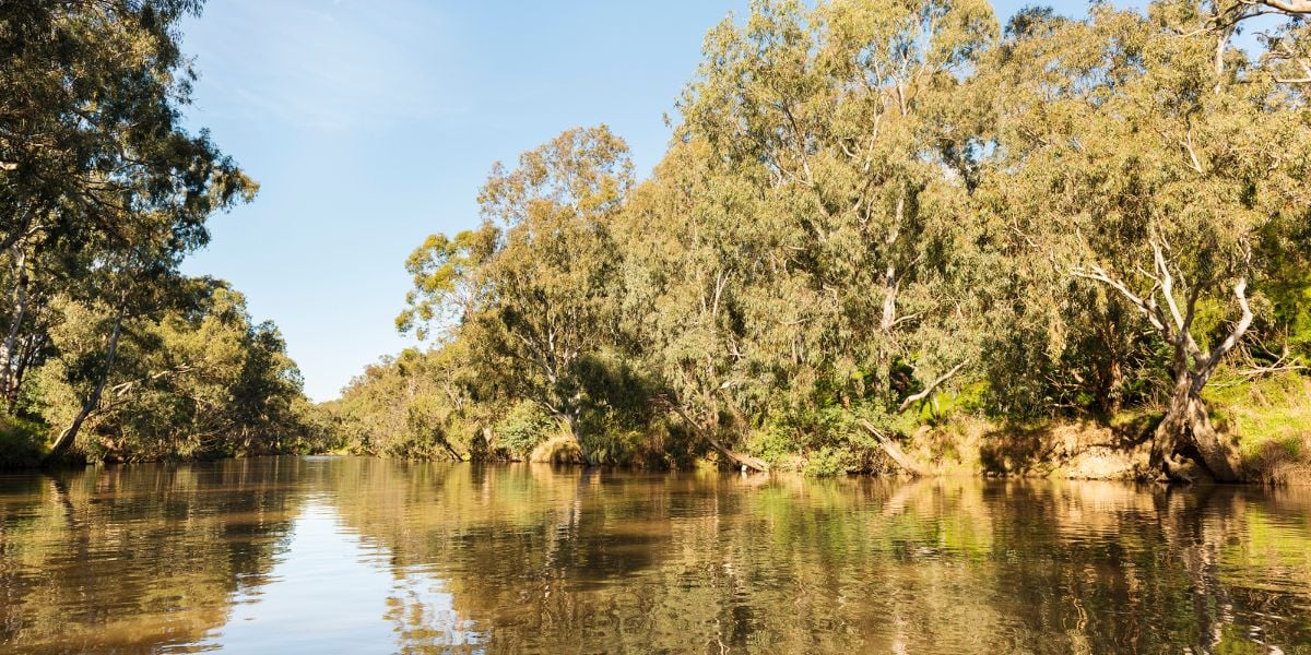Sunset Stroll - East Ivanhoe | Easy, 6km