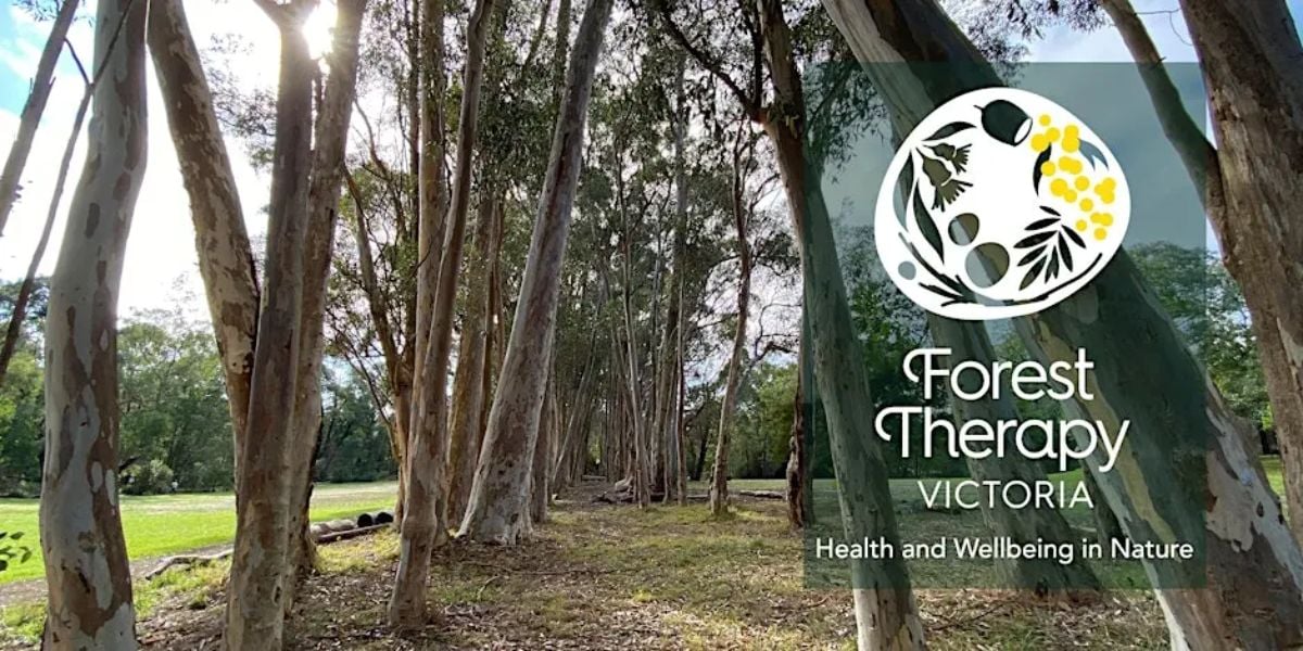EXTENDED Forest Therapy Experience: Eagles Nest Picnic Ground, Olinda (LCx)
