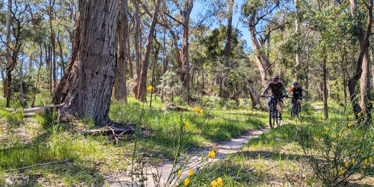 GaS Social MTB Ride - Wombat
