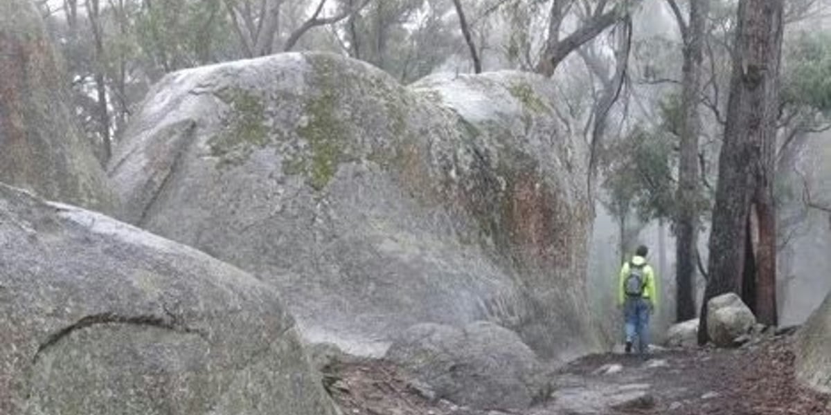 Free Event - Four Brothers Rocks Loop , Bunyip State Park - 14km Moderate to Hard