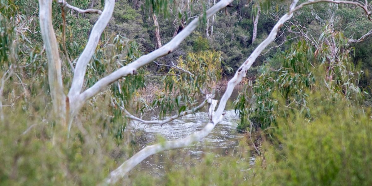 Mount Loftey Discovery (Private Group)