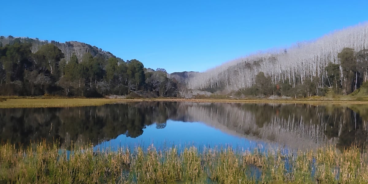 Mt Buffalo - Full Day Guided Nature Tour