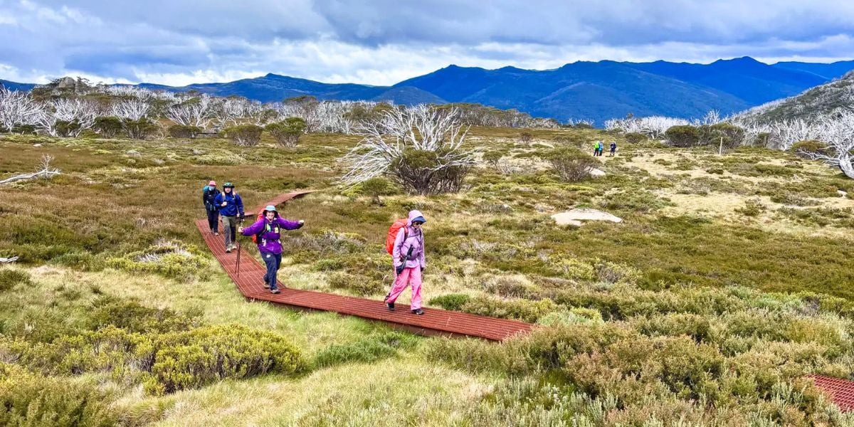 Snowies Alpine Walk (4 days)