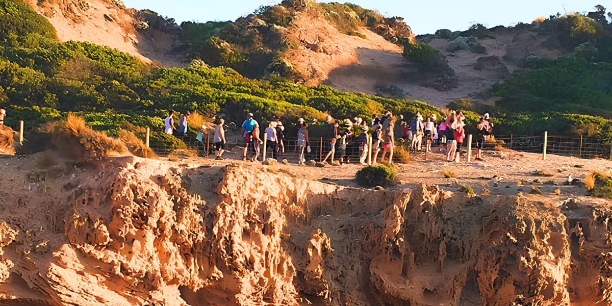 No. 16's Beach - Cultural Public Guided Walk