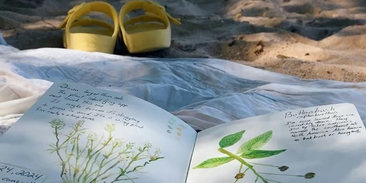 Nature journaling (for non-artists)