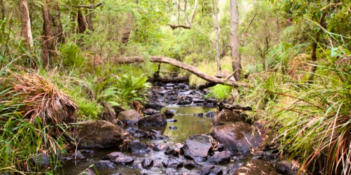 Baldrys Crossing - Cultural Public Guided Walk