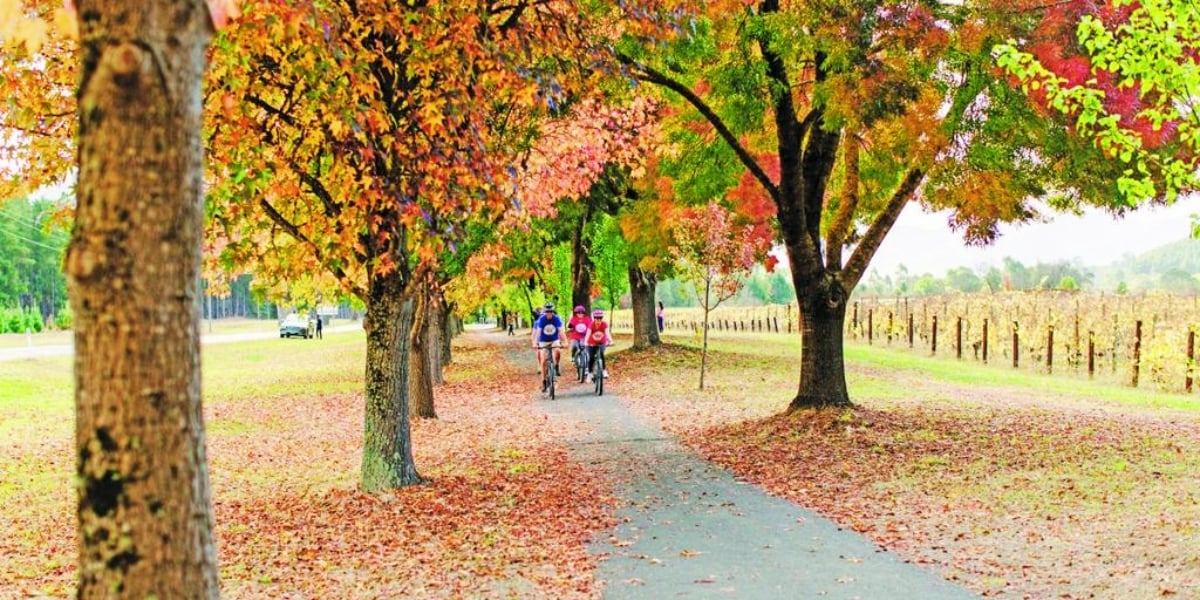 Tour de North East Victoria – Active Cycling Tour