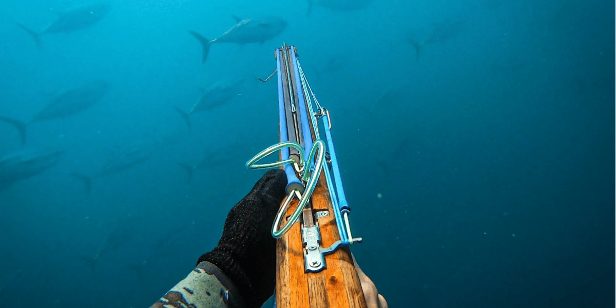Beginner Spearfishing Course