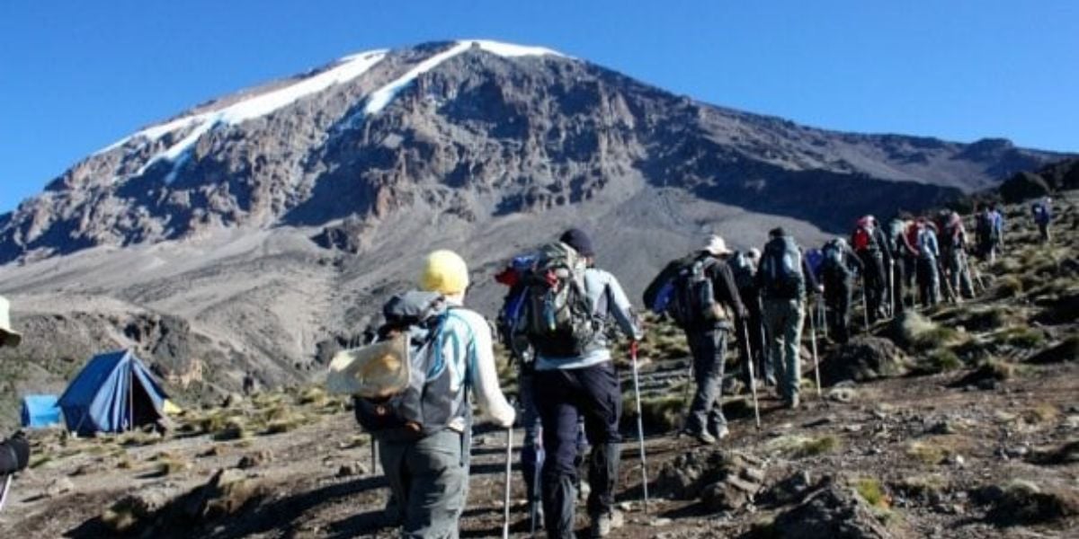Mt Kilimanjaro Trek & Safari - 15 Days