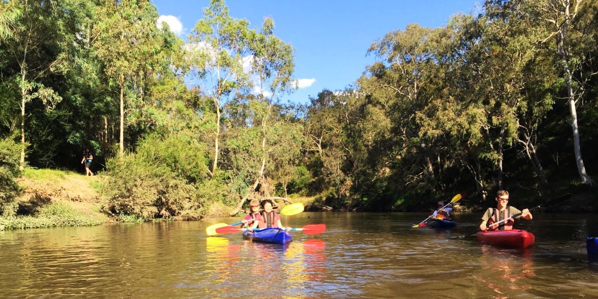 Twilight Kayak - Flying Foxes