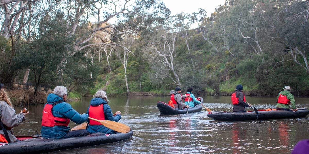 Melbourne City to Herring Island Sculpture Trail (Private Group)