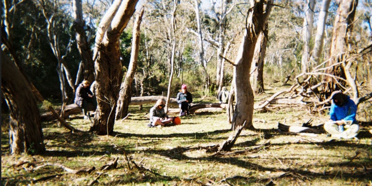 Unfurl: Forest Therapy Walk