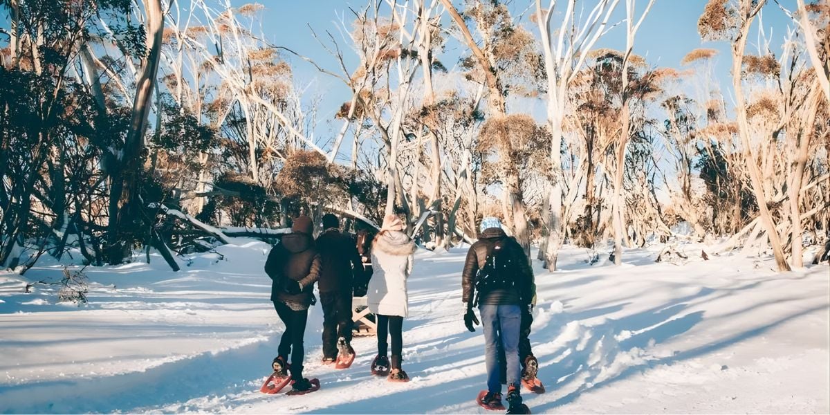 Snowshoe to Fondue | Dinner experience