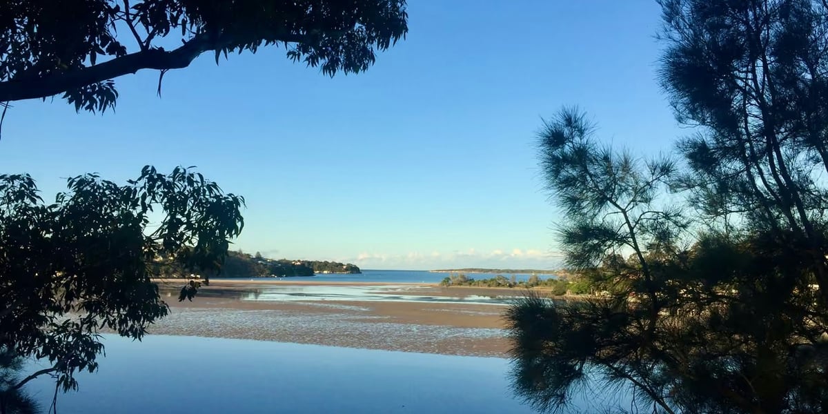 Forest Bathing, Yenabilli, Royal National Park
