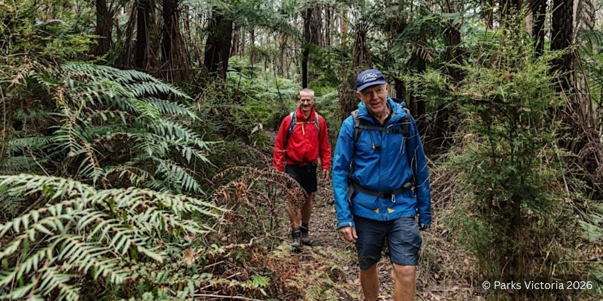 Macedon Sanatorium Eco Trail Park Walk