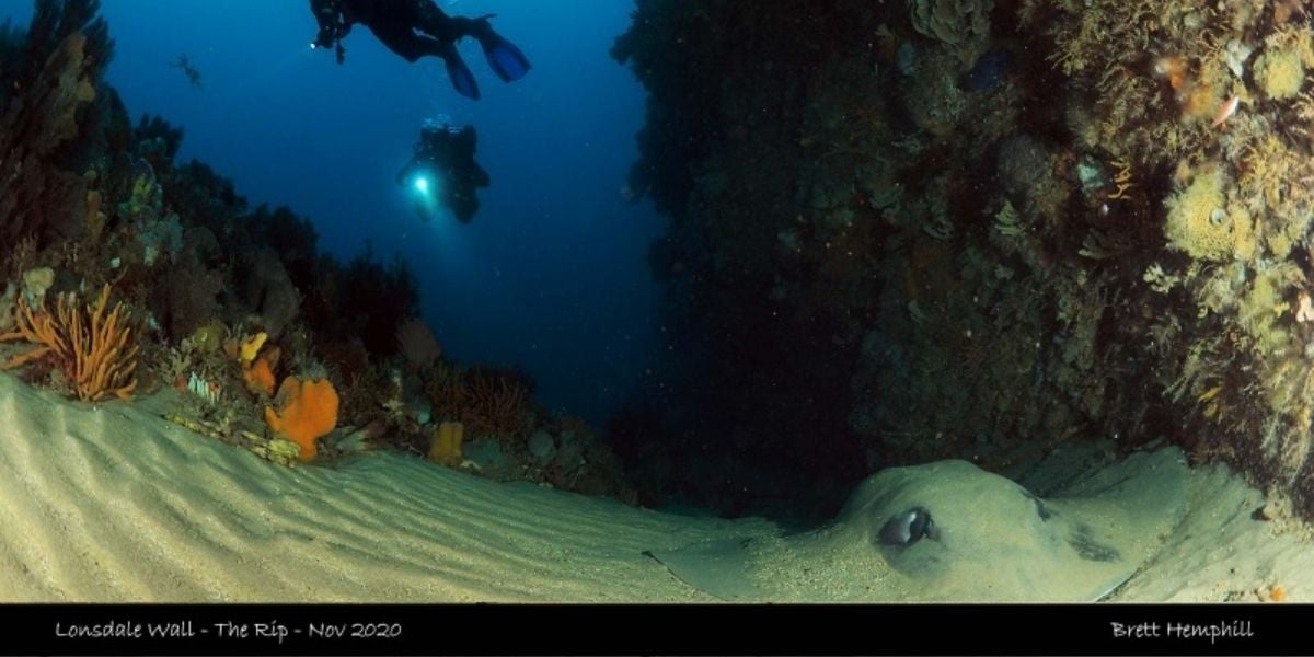Scuba Double Dive - Lonsdale Wall 13-38m & Golden Arch 18-23m (Sorrento)
