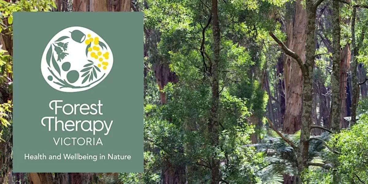 Forest Therapy Experience: Eagles Nest Picnic Ground, Olinda (MG)