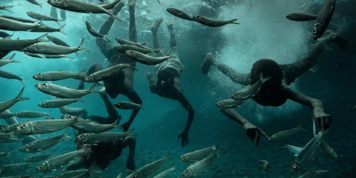 Solomon Islands Expedition