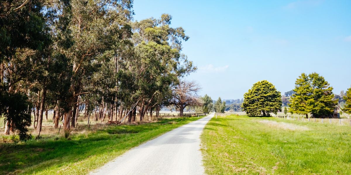 Lilydale to Mt Evelyn and return | Easy-Medium, 13km