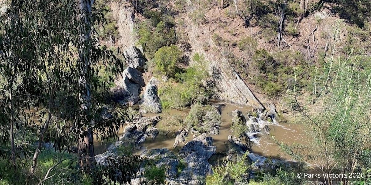 Plenty River Park Walk