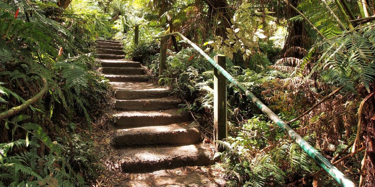 Scar track to 1000 steps | Hard, 15km