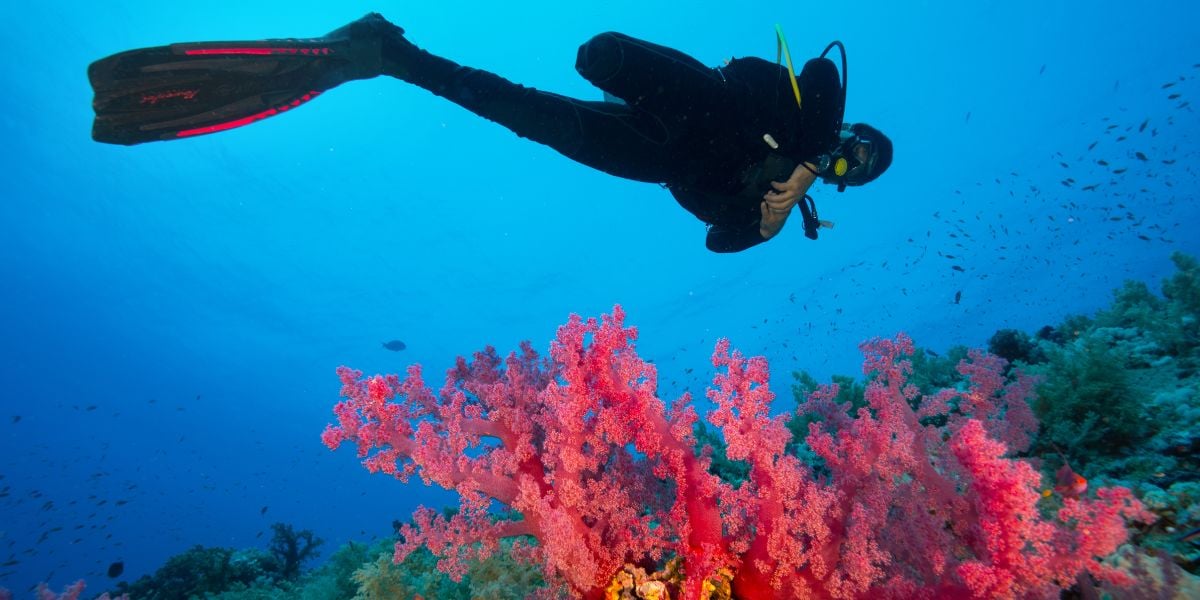 Dive Trip - Rakiraki Fiji