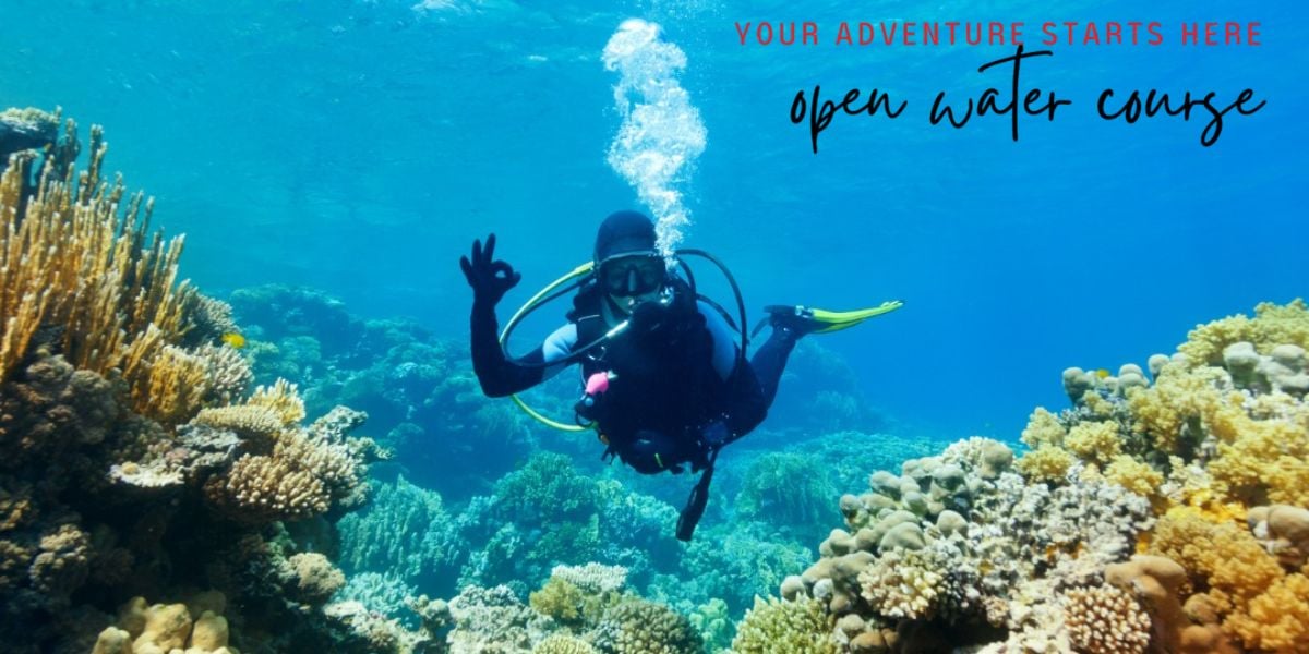 Scuba Starts Here | Open Water Course (2 wknds)