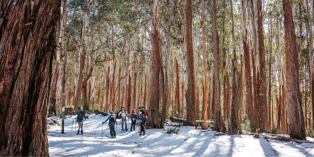 Stirling Night – 2 Day Winter Hike