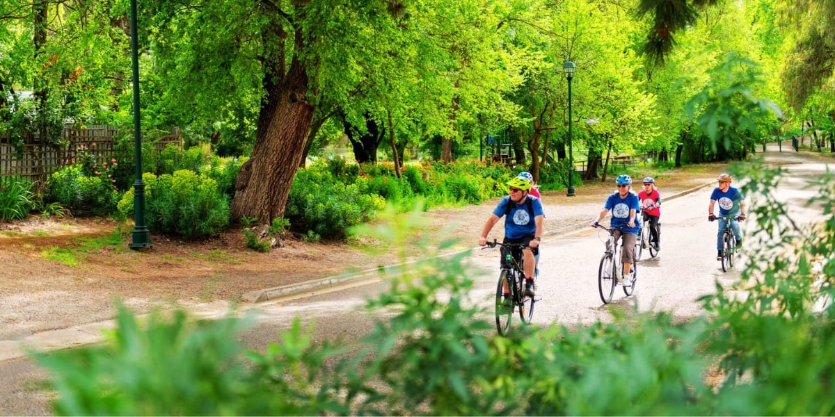 Tour de South Australia Vineyards – Cycling Tour