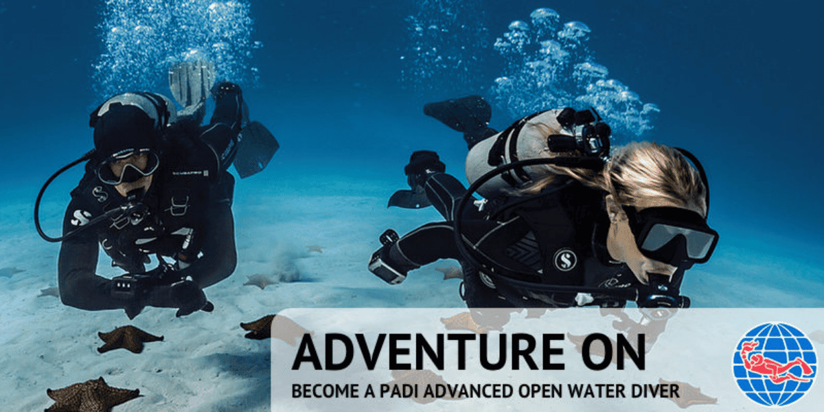 Advanced Open Water Scuba Diving Course (2.5 days)